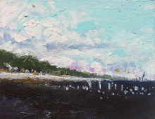 Seabirds at the Pass